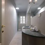 Beautiful Flat In Oltrarno