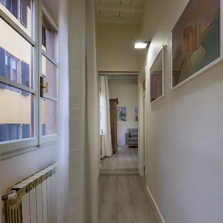 Beautiful Flat In Oltrarno *
